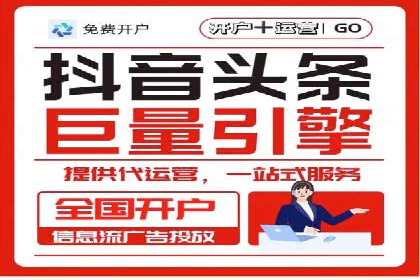 SEM投放策略优化案例分析